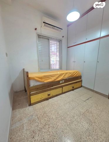 דירה, דוד וולפסון, רמז, מערב ותיק, ראשון לציון