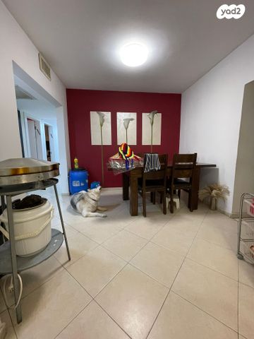 דירה, הגומא, צמח השדה, מעלה אדומים