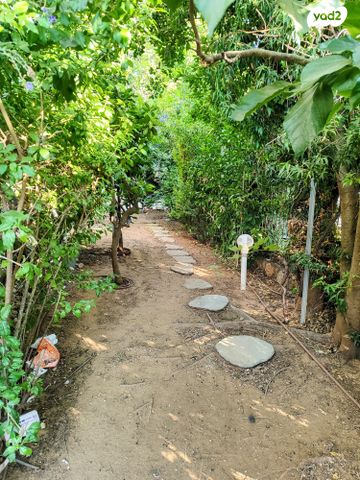 דו משפחתי, חוחית, אלפי מנשה