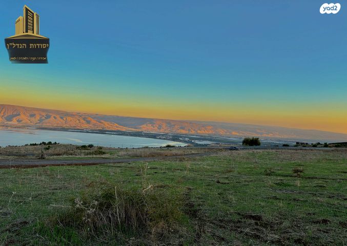 פוריה עילית