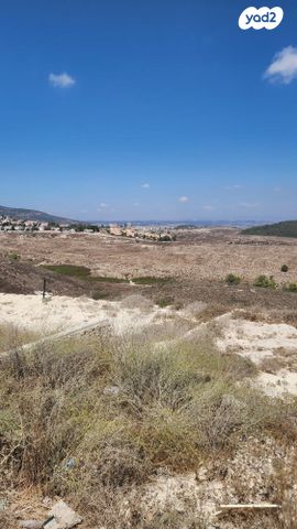 מגרשים, עין העמק