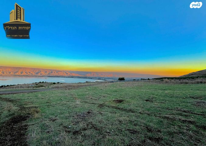 מגרשים, פוריה עילית, פוריה עילית