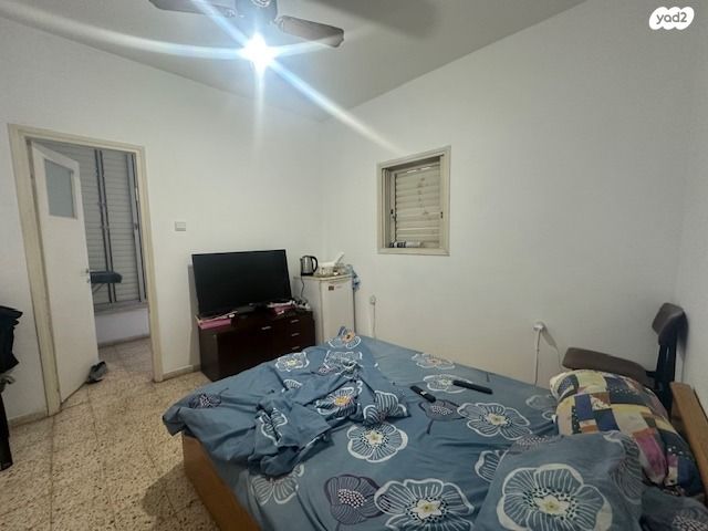 דירה, הגליל, מרכז, כפר סבא