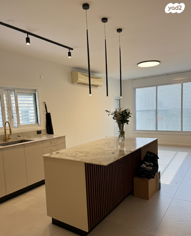 גג/ פנטהאוז, משה שפירא, צפון מזרח מרכז העיר, נתניה