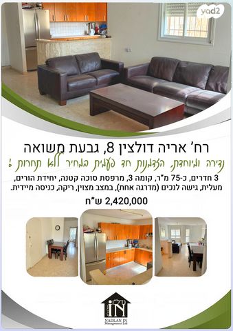 דירה, אריה דולצ'ין, גבעת משואה, ירושלים