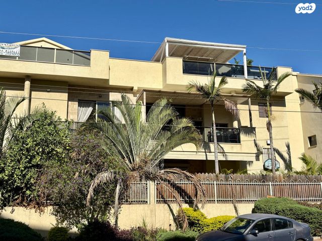 יהודה רגוניס 