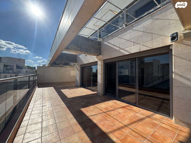 חיים זכאי 10