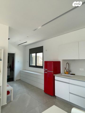 גג/ פנטהאוז, בועז, התקוה, בית יעקב, נווה צה"ל, תל אביב יפו