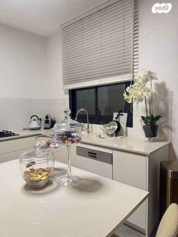 דירה, משה לוי, נאות שמיר, רמלה