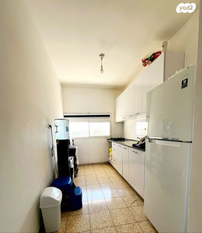 אריה רובין 19