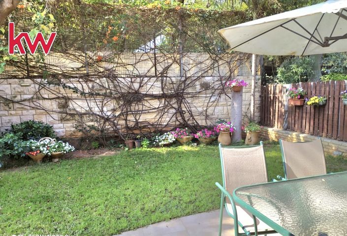 דובדבן הכפר