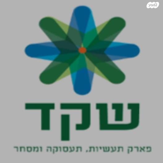 צה"ל 