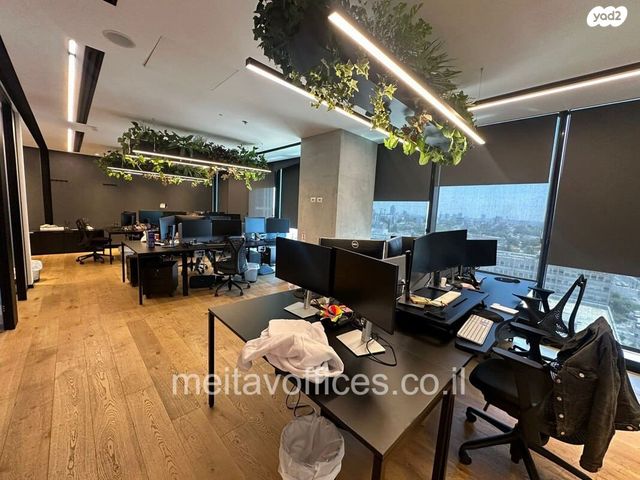 יגאל אלון 82