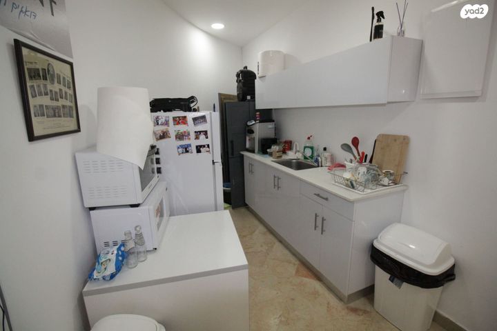 נפתלי פלטין 