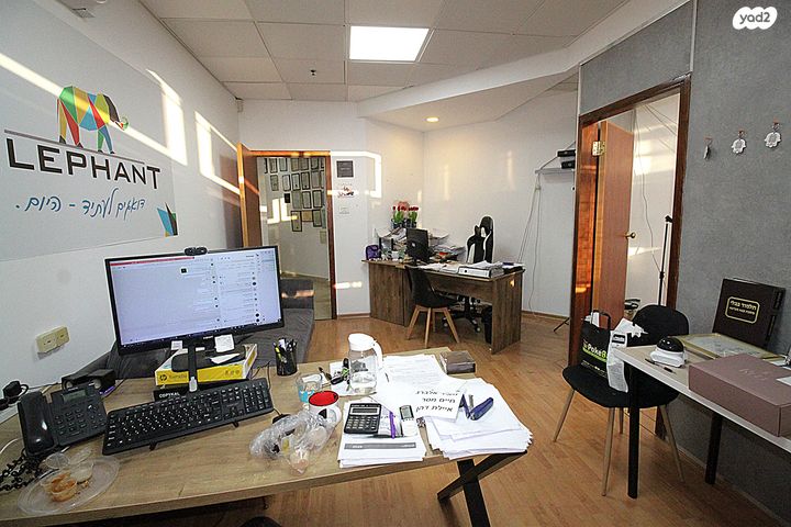 נפתלי פלטין 