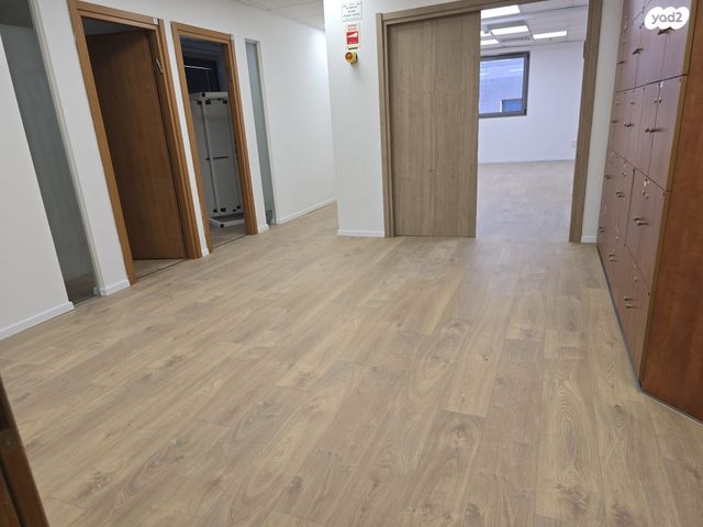 ראול ולנברג 