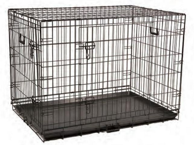 תמונת מודעה - חיות מחמד