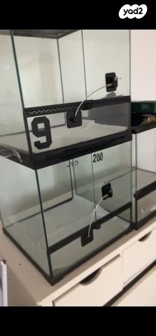 תמונת מודעה - חיות מחמד