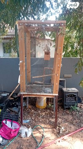 תמונת מודעה - חיות מחמד