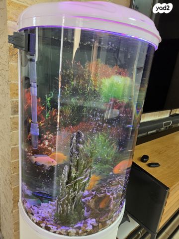 תמונת מודעה - חיות מחמד