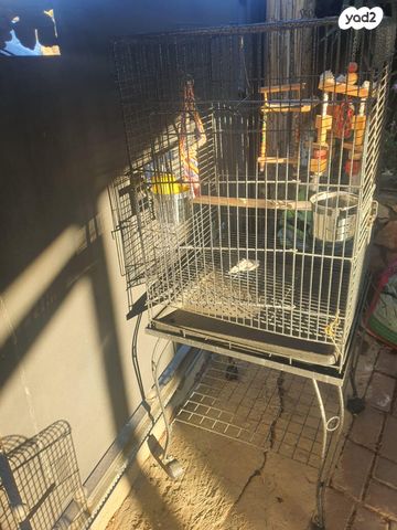 תמונת מודעה - חיות מחמד