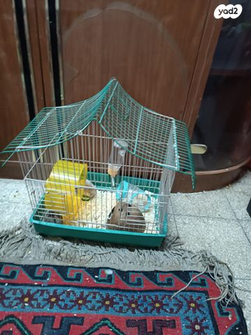 תמונת מודעה - חיות מחמד