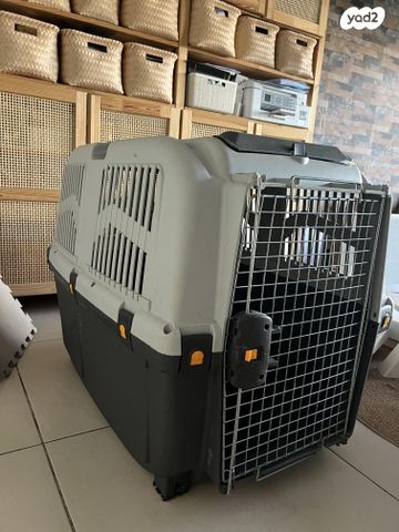 תמונת מודעה - חיות מחמד