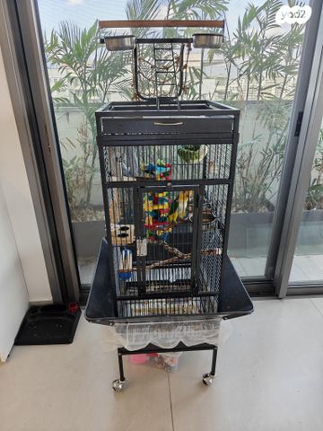 תמונת מודעה - חיות מחמד