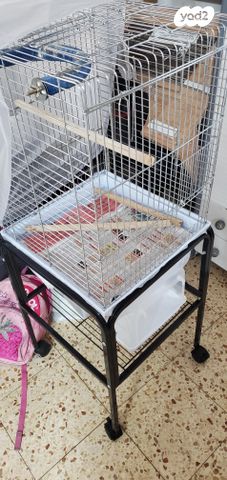 תמונת מודעה - חיות מחמד