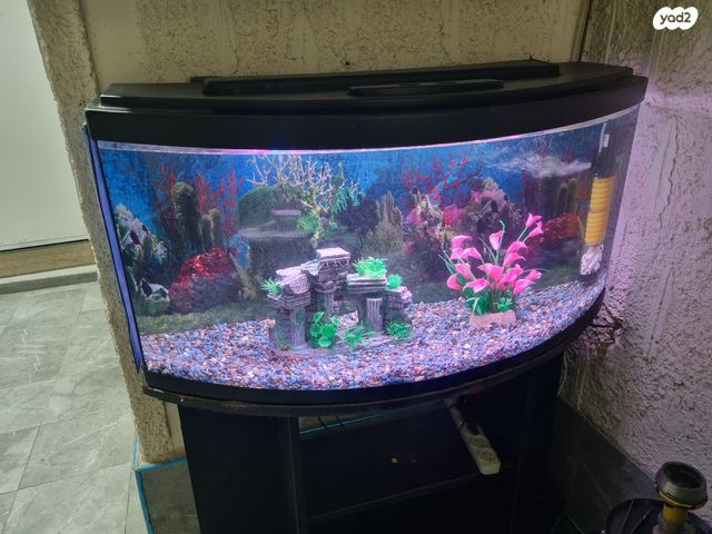 אביזרים | אקווריום