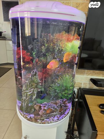 אביזרים | אקווריום