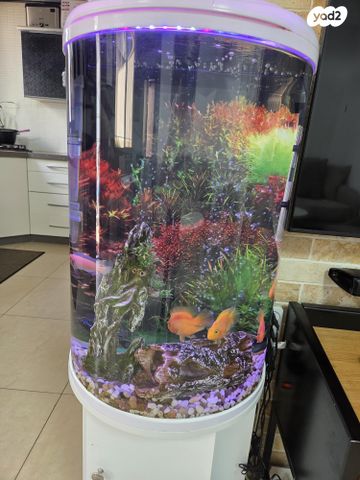 אביזרים | אקווריום