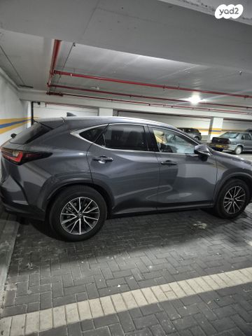 מודעת רכב לקסוס NX