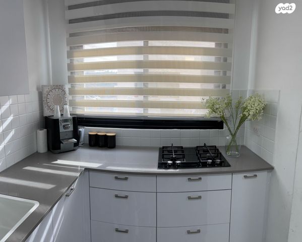 דירה, הגליל 1, כרם רעים, טלמון