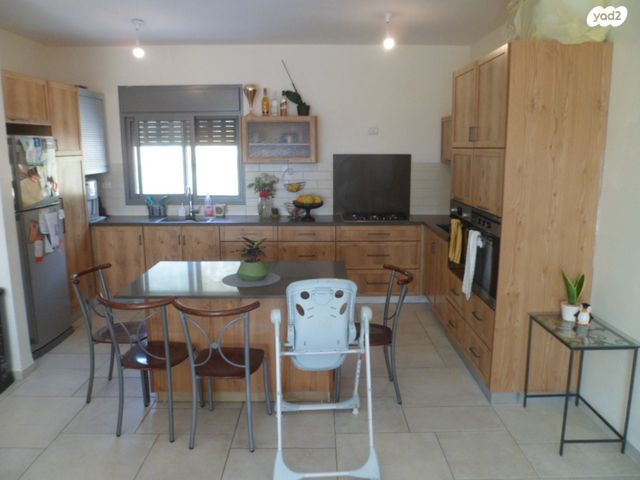 חורשת האקליפטוס 124