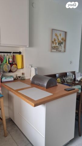 דירה, הברוש 484, אורות, אור עקיבא