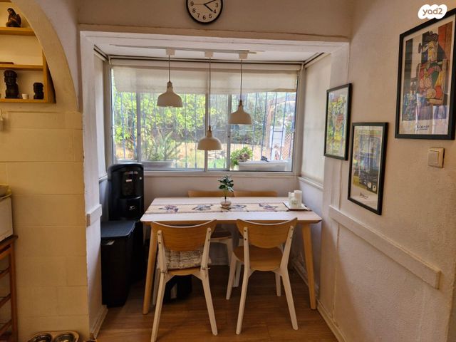 נווה שאנן 13