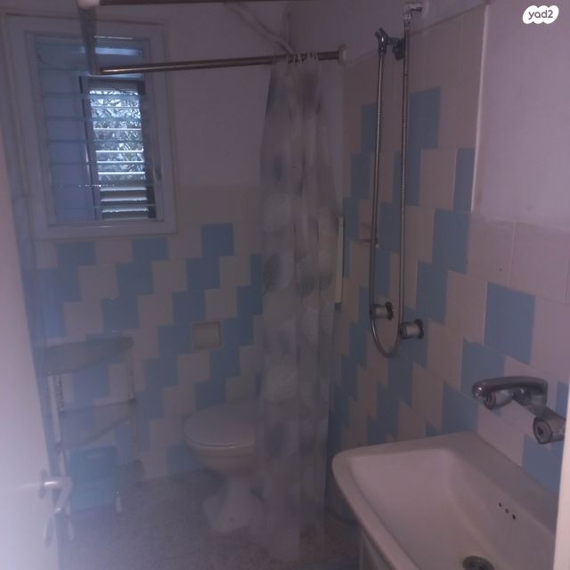 אריאל בן ציון 15