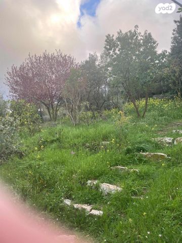 דירה, האלה 1, בת עין, בת עין