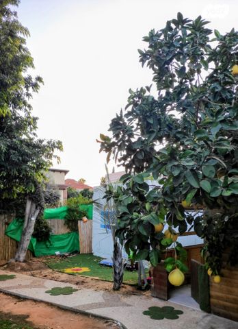 בית פרטי/ קוטג', האילנות 43, גן רש"ל, הרצליה