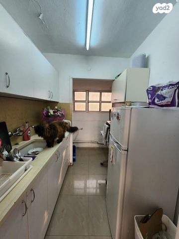 דירה, אח"י אילת 4, אלי כהן, כפר סבא