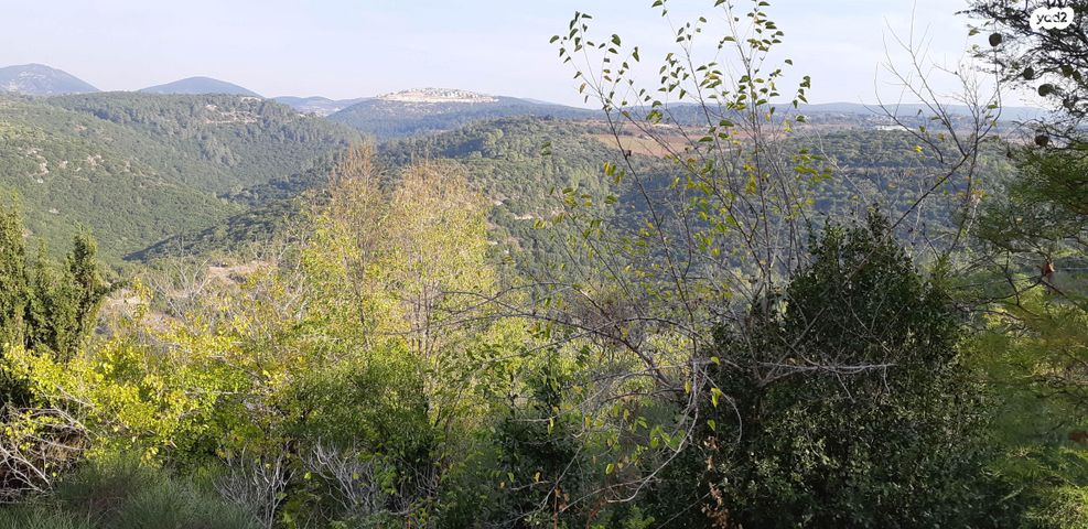 דירה, ההגנה 47, יצחק רבין, מעלות תרשיחא