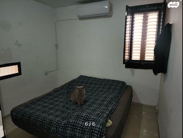 דירה, אח"י אילת 4, אלי כהן, כפר סבא