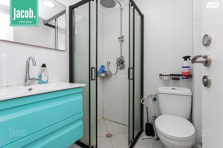 דירה, אריאל שרון, החותרים, טירת כרמל