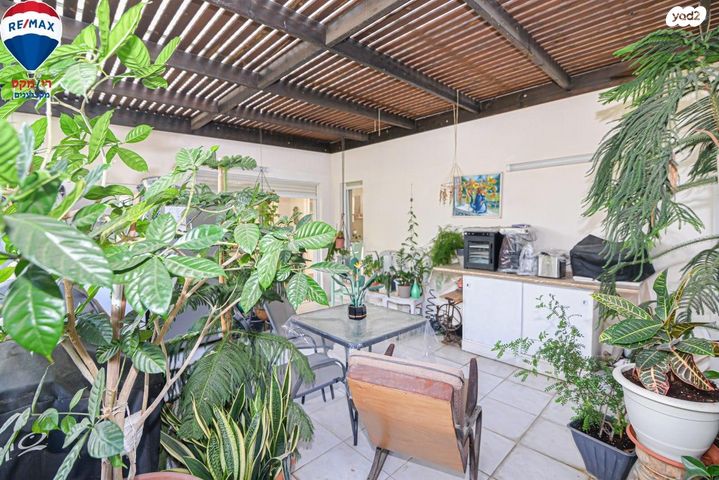 דופלקס, הר סיני, אחוזת דניה, חדרה