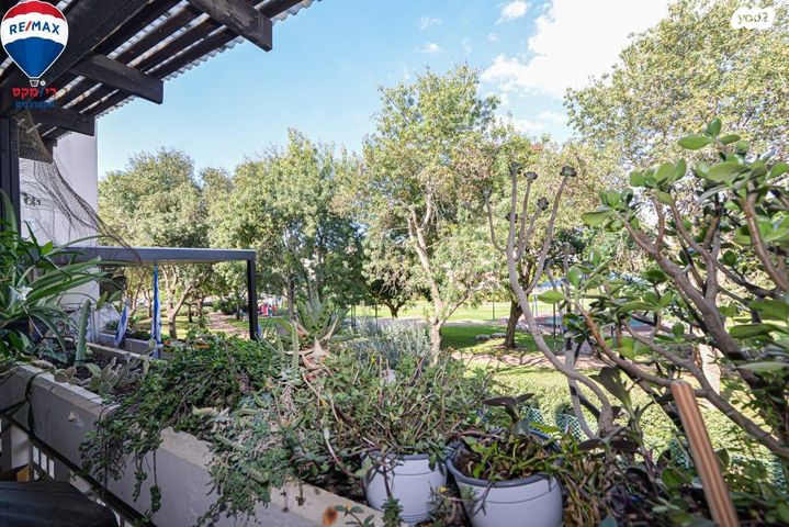 דופלקס, הר סיני, אחוזת דניה, חדרה