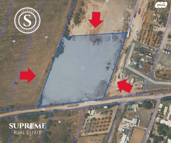 מגרשים, שאר העיר, ראשון לציון