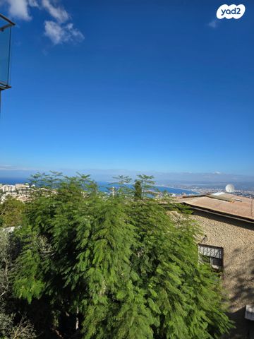 אלברט איינשטיין 