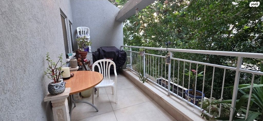 דירה, דקל, כפר סבא