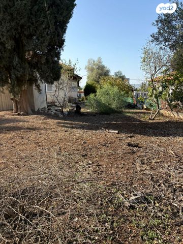 מגרשים, גורדון, מרכז עפולה עלית, עפולה